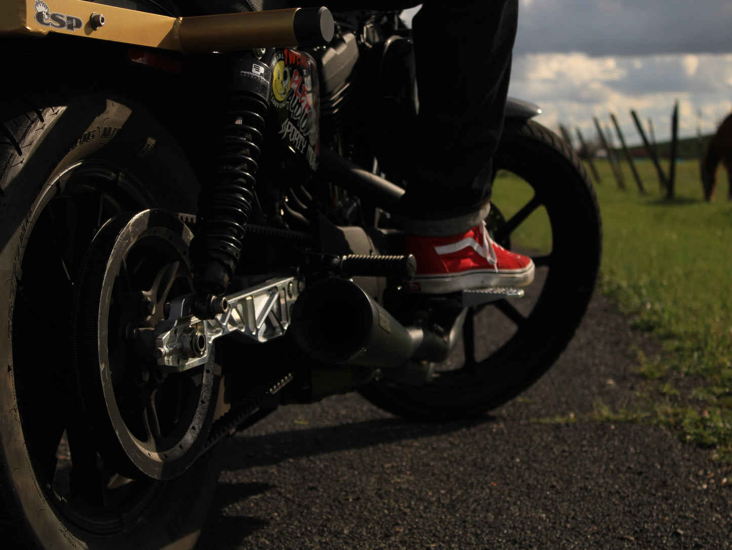 Sportster Swing Arm 2004-2022